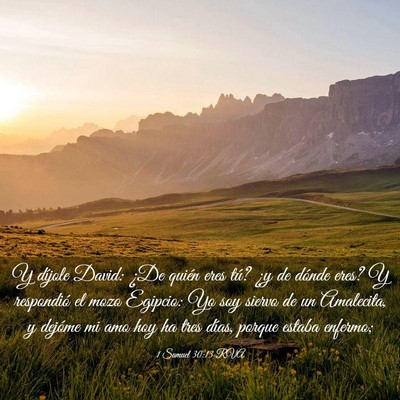 Picture 03 - 1 Samuel 30:13 RVA - Y díjole David: ¿De quién eres tú? ¿y de - Bible Verse Picture