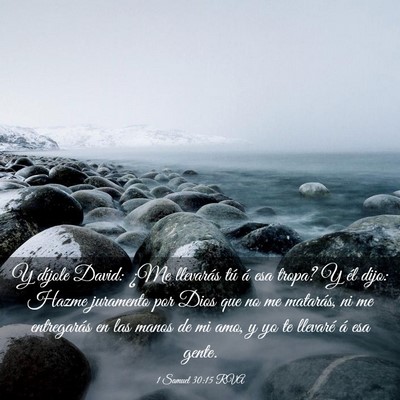 Picture 03 - 1 Samuel 30:15 RVA - Y díjole David: ¿Me llevarás tú á esa tropa? - Bible Verse Picture