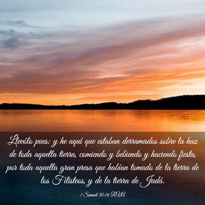 Picture 03 - 1 Samuel 30:16 RVA - Llevólo pues: y he aquí que estaban derramados - Bible Verse Picture