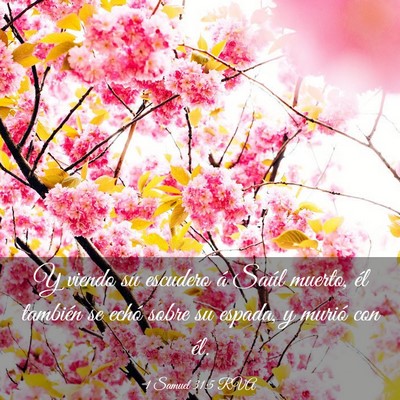 Picture 03 - 1 Samuel 31:5 RVA - Y viendo su escudero á Saúl muerto, él - Bible Verse Picture