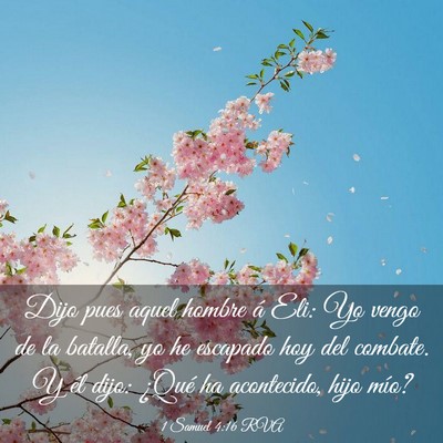 Picture 03 - 1 Samuel 4:16 RVA - Dijo pues aquel hombre á Eli: Yo vengo de la - Bible Verse Picture
