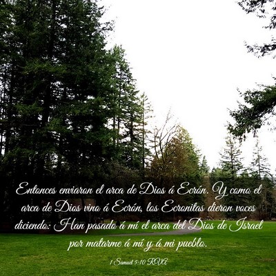Picture 03 - 1 Samuel 5:10 RVA - Entonces enviaron el arca de Dios á Ecrón. Y - Bible Verse Picture