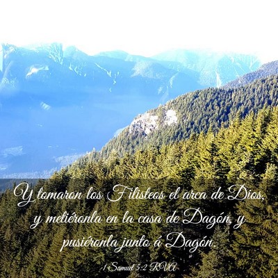 Picture 03 - 1 Samuel 5:2 RVA - Y tomaron los Filisteos el arca de Dios, y - Bible Verse Picture