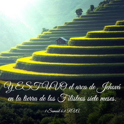 Picture 03 - 1 Samuel 6:1 RVA - Y ESTUVO el arca de Jehová en la tierra de los - Bible Verse Picture