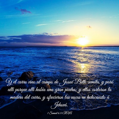 Picture 03 - 1 Samuel 6:14 RVA - Y el carro vino al campo de Josué Beth-semita, y - Bible Verse Picture