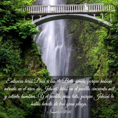 Picture 03 - 1 Samuel 6:19 RVA - Entonces hirió Dios á los de Beth-semes, porque - Bible Verse Picture
