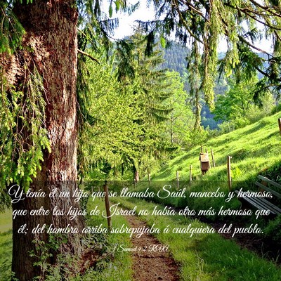 Picture 03 - 1 Samuel 9:2 RVA - Y tenía él un hijo que se llamaba Saúl, - Bible Verse Picture