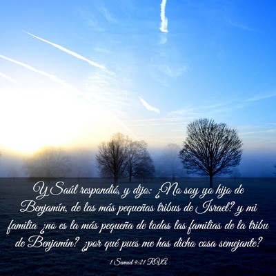 Picture 03 - 1 Samuel 9:21 RVA - Y Saúl respondió, y dijo: ¿No soy yo hijo de - Bible Verse Picture
