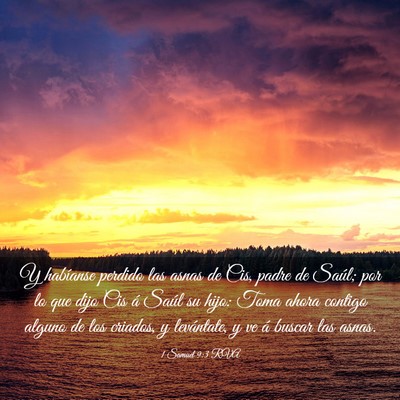 Picture 03 - 1 Samuel 9:3 RVA - Y habíanse perdido las asnas de Cis, padre de - Bible Verse Picture