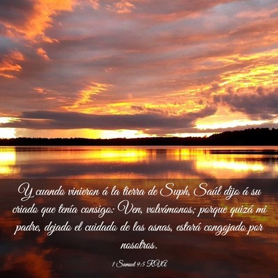 Picture 03 - 1 Samuel 9:5 RVA - Y cuando vinieron á la tierra de Suph, Saúl - Bible Verse Picture