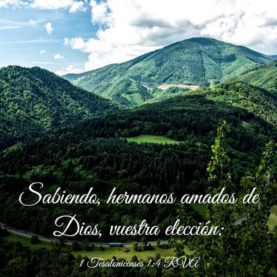 Picture 03 - 1 Tesalonicenses 1:4 RVA - Sabiendo, hermanos amados de Dios, vuestra - Bible Verse Picture
