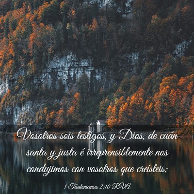 Picture 03 - 1 Tesalonicenses 2:10 RVA - Vosotros sois testigos, y Dios, de cuán santa y - Bible Verse Picture