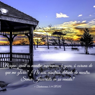 Picture 03 - 1 Tesalonicenses 2:19 RVA - Porque ¿cuál es nuestra esperanza, ó gozo, ó - Bible Verse Picture