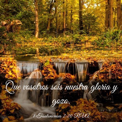 Picture 03 - 1 Tesalonicenses 2:20 RVA - Que vosotros sois nuestra gloria y - Bible Verse Picture
