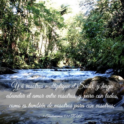 Picture 03 - 1 Tesalonicenses 3:12 RVA - Y á vosotros multiplique el Señor, y haga - Bible Verse Picture