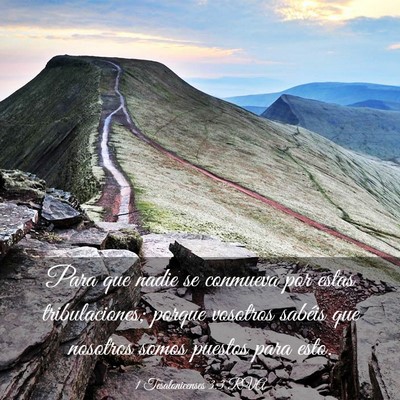 Picture 03 - 1 Tesalonicenses 3:3 RVA - Para que nadie se conmueva por estas - Bible Verse Picture