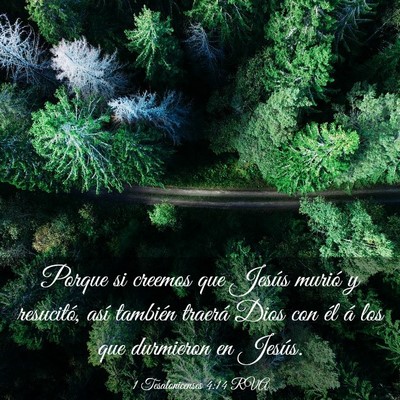 Picture 03 - 1 Tesalonicenses 4:14 RVA - Porque si creemos que Jesús murió y resucitó, - Bible Verse Picture