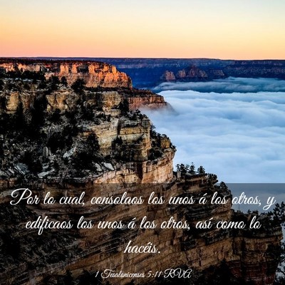 Picture 03 - 1 Tesalonicenses 5:11 RVA - Por lo cual, consolaos los unos á los otros, y - Bible Verse Picture