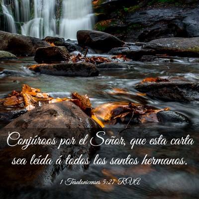 Picture 03 - 1 Tesalonicenses 5:27 RVA - Conjúroos por el Señor, que esta carta sea - Bible Verse Picture