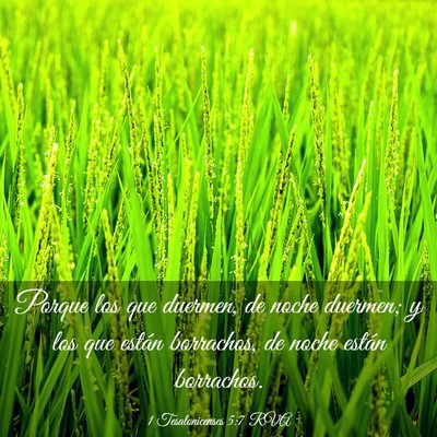Picture 03 - 1 Tesalonicenses 5:7 RVA - Porque los que duermen, de noche duermen; y los - Bible Verse Picture