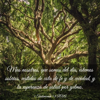 Picture 03 - 1 Tesalonicenses 5:8 RVA - Mas nosotros, que somos del día, estemos - Bible Verse Picture