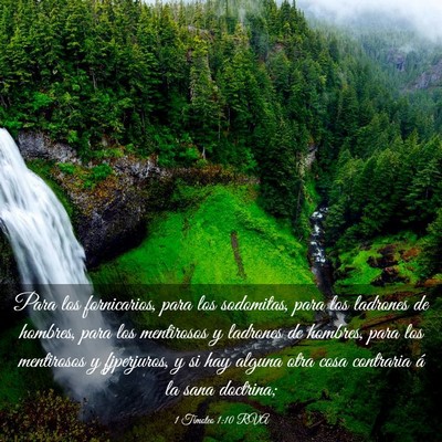 Picture 03 - 1 Timoteo 1:10 RVA - Para los fornicarios, para los sodomitas, para - Bible Verse Picture