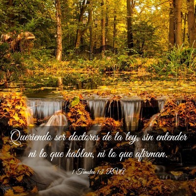 Picture 03 - 1 Timoteo 1:7 RVA - Queriendo ser doctores de la ley, sin entender ni - Bible Verse Picture