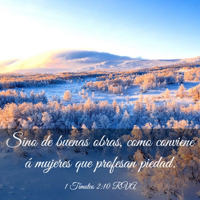 Picture 03 - 1 Timoteo 2:10 RVA - Sino de buenas obras, como conviene á mujeres - Bible Verse Picture