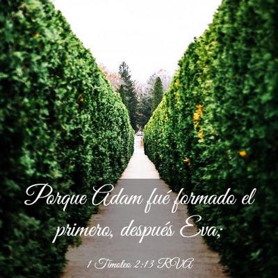 Picture 03 - 1 Timoteo 2:13 RVA - Porque Adam fué formado el primero, después - Bible Verse Picture