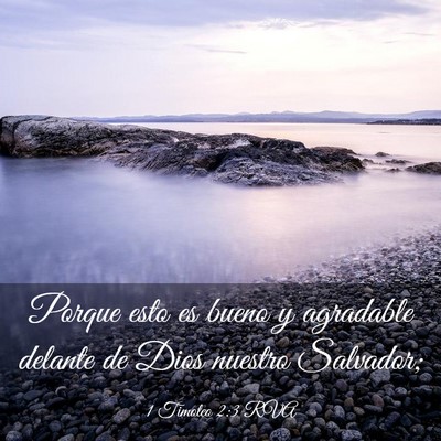 Picture 03 - 1 Timoteo 2:3 RVA - Porque esto es bueno y agradable delante de Dios - Bible Verse Picture