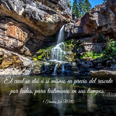 Picture 03 - 1 Timoteo 2:6 RVA - El cual se dió á sí mismo en precio del - Bible Verse Picture