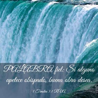 Picture 03 - 1 Timoteo 3:1 RVA - PALABRA fiel: Si alguno apetece obispado, buena - Bible Verse Picture