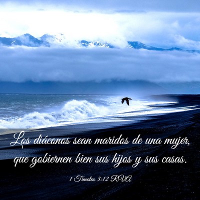 Picture 03 - 1 Timoteo 3:12 RVA - Los diáconos sean maridos de una mujer, que - Bible Verse Picture
