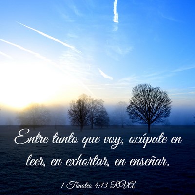 Picture 03 - 1 Timoteo 4:13 RVA - Entre tanto que voy, ocúpate en leer, en - Bible Verse Picture