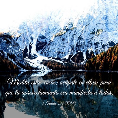 Picture 03 - 1 Timoteo 4:15 RVA - Medita estas cosas; ocúpate en ellas; para que - Bible Verse Picture