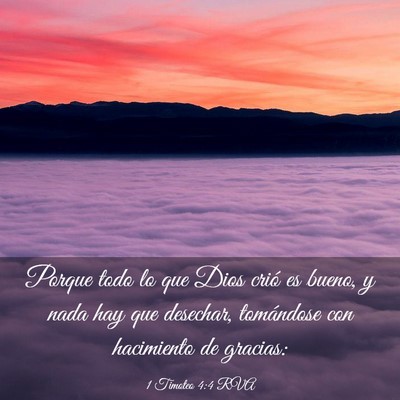 Picture 03 - 1 Timoteo 4:4 RVA - Porque todo lo que Dios crió es bueno, y nada - Bible Verse Picture