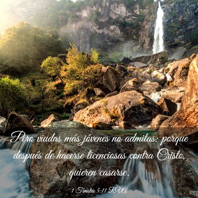 Picture 03 - 1 Timoteo 5:11 RVA - Pero viudas más jóvenes no admitas: porque - Bible Verse Picture