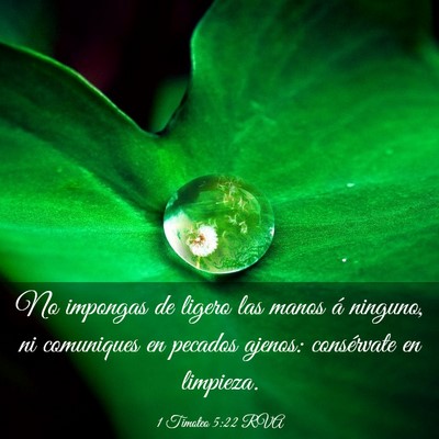 Picture 03 - 1 Timoteo 5:22 RVA - No impongas de ligero las manos á ninguno, ni - Bible Verse Picture