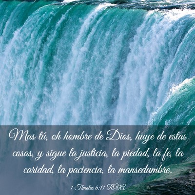 Picture 03 - 1 Timoteo 6:11 RVA - Mas tú, oh hombre de Dios, huye de estas cosas, - Bible Verse Picture