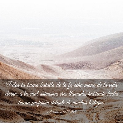 Picture 03 - 1 Timoteo 6:12 RVA - Pelea la buena batalla de la fe, echa mano de la - Bible Verse Picture
