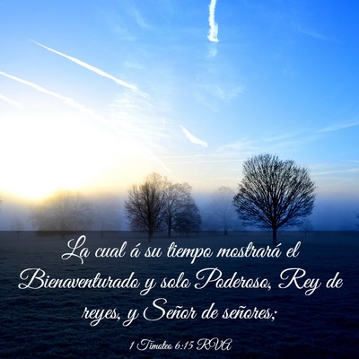 Picture 03 - 1 Timoteo 6:15 RVA - La cual á su tiempo mostrará el Bienaventurado - Bible Verse Picture