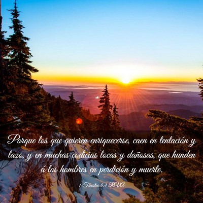Picture 03 - 1 Timoteo 6:9 RVA - Porque los que quieren enriquecerse, caen en - Bible Verse Picture