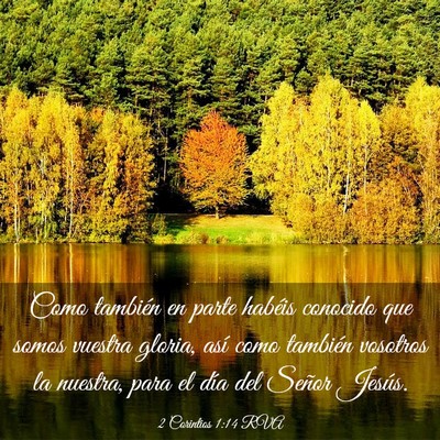 Picture 03 - 2 Corintios 1:14 RVA - Como también en parte habéis conocido que somos - Bible Verse Picture