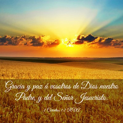 Picture 03 - 2 Corintios 1:2 RVA - Gracia y paz á vosotros de Dios nuestro Padre, y - Bible Verse Picture