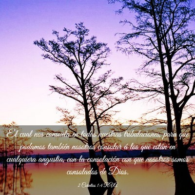 Picture 03 - 2 Corintios 1:4 RVA - El cual nos consuela en todas nuestras - Bible Verse Picture