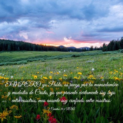 Picture 03 - 2 Corintios 10:1 RVA - EMPERO yo Pablo, os ruego por la mansedumbre y - Bible Verse Picture