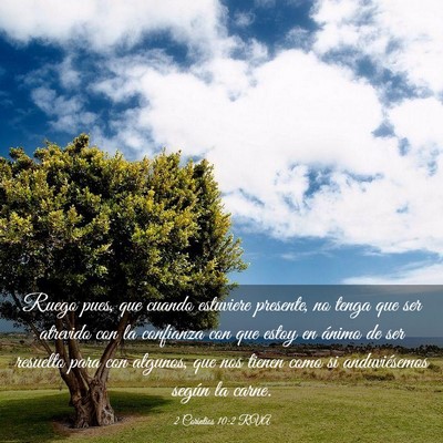 Picture 03 - 2 Corintios 10:2 RVA - Ruego pues, que cuando estuviere presente, no - Bible Verse Picture