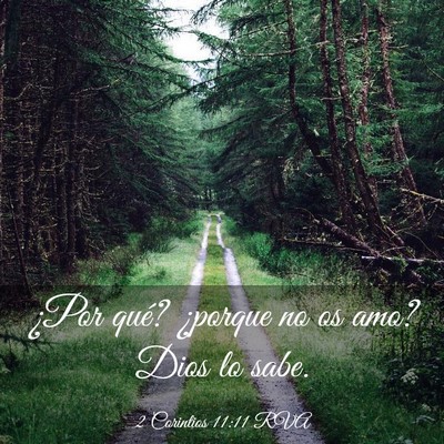 Picture 03 - 2 Corintios 11:11 RVA - ¿Por qué? ¿porque no os amo? Dios lo - Bible Verse Picture