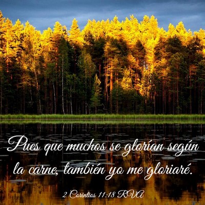 Picture 03 - 2 Corintios 11:18 RVA - Pues que muchos se glorían según la carne, - Bible Verse Picture