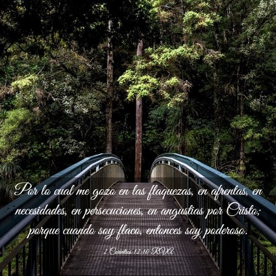Picture 03 - 2 Corintios 12:10 RVA - Por lo cual me gozo en las flaquezas, en - Bible Verse Picture